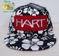 HART (3)